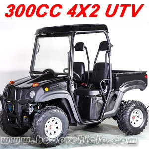 300CC 4X2 UTV (MC-152)